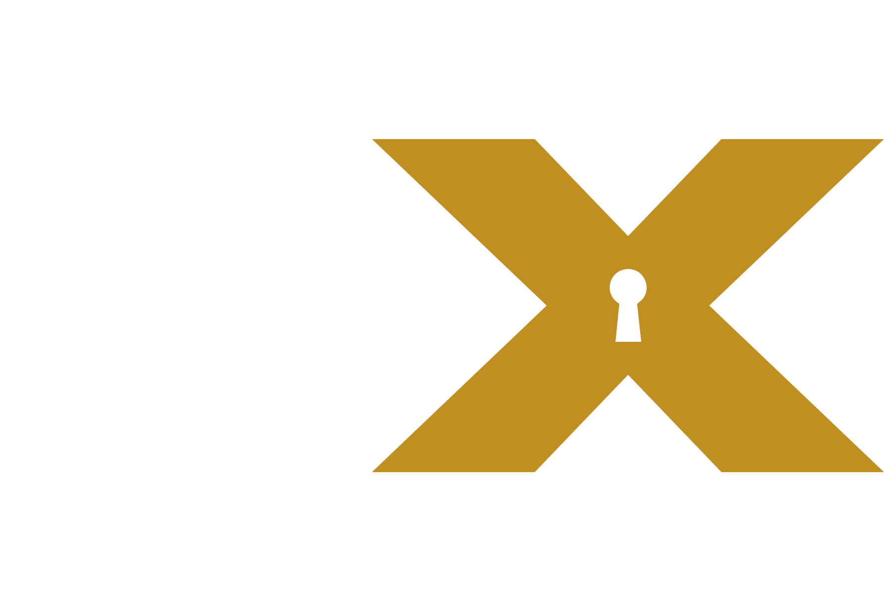 SX Van Locks